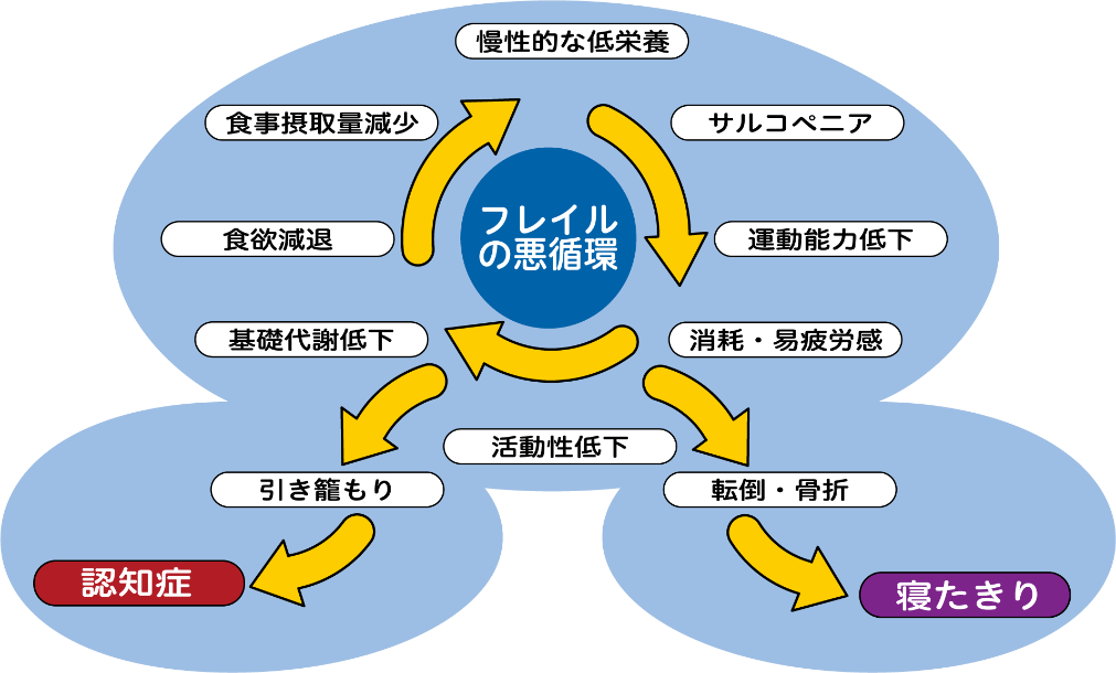 フレイルの悪循環