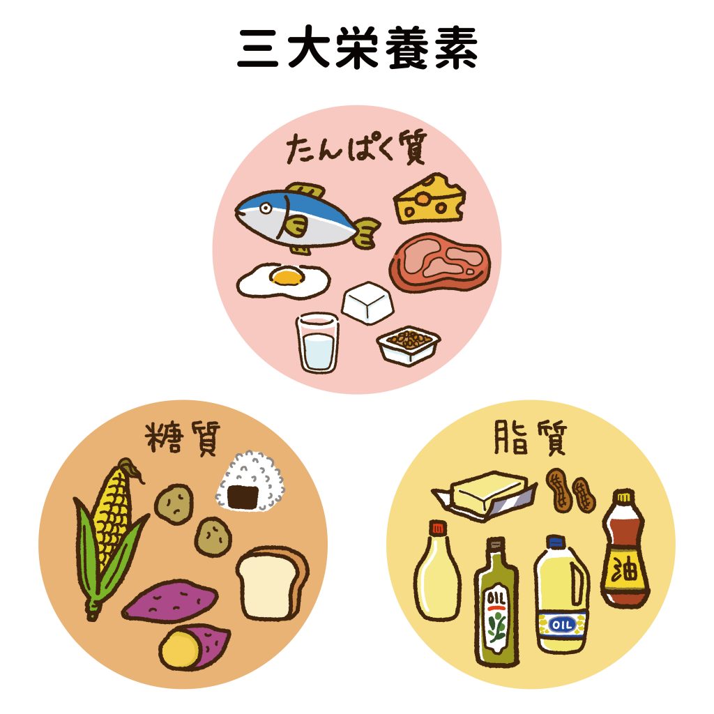 三大栄養素のイラスト