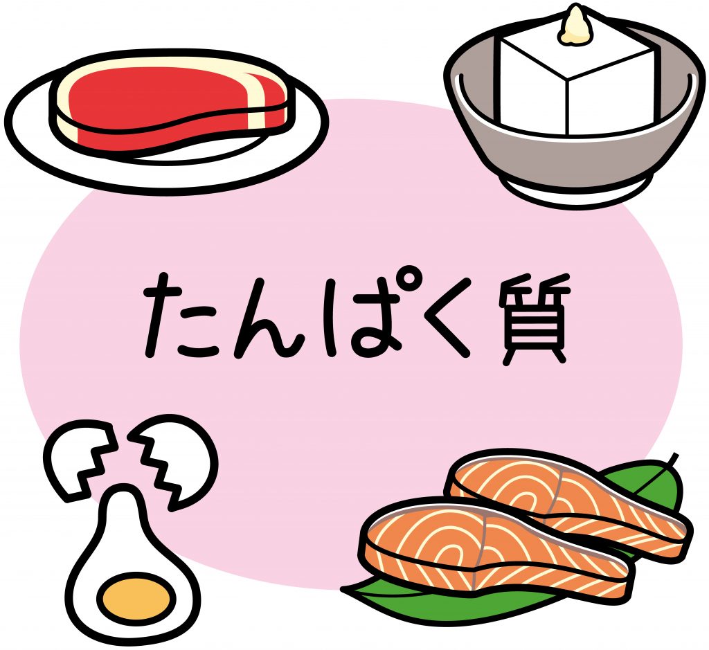 タンパク質の働きとは？含まれる食品や不足・過剰症状も紹介 | 健達ねっと