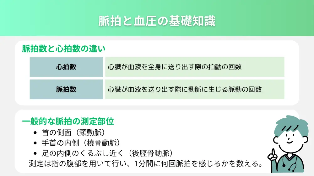 脈拍と血圧の基礎知識とその重要性