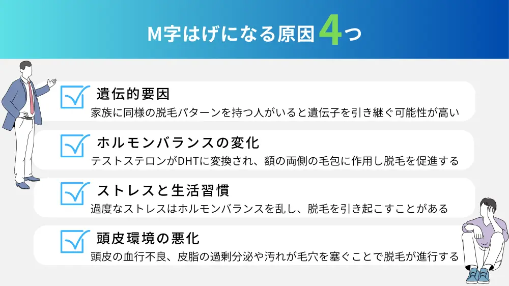 M字はげの原因