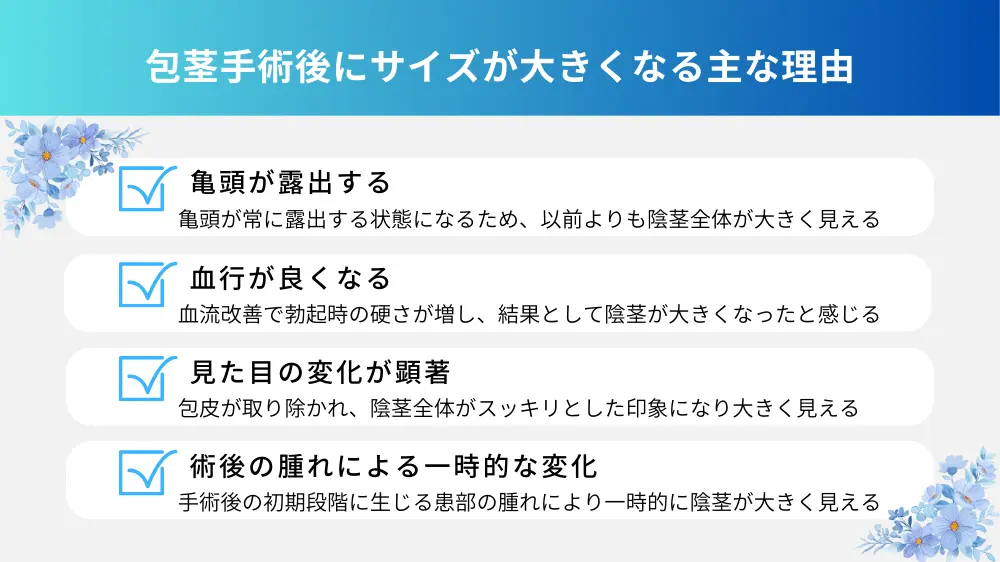 包茎手術後にサイズが大きくなることはある？