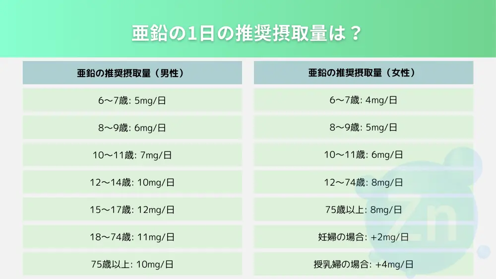 亜鉛の1日の推奨摂取量は？