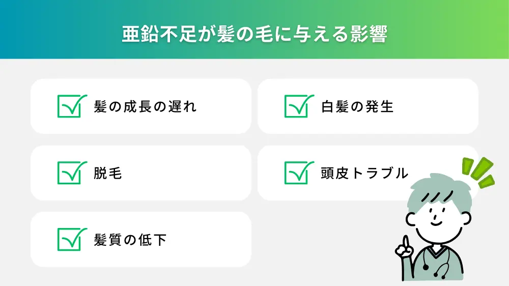 亜鉛不足が髪の毛に与える影響