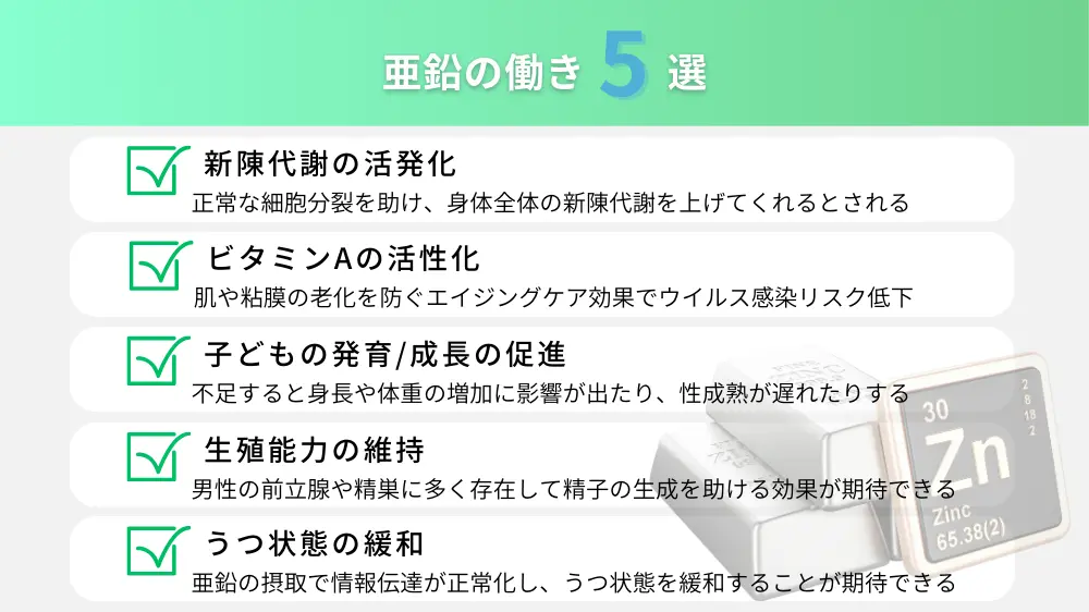 亜鉛の働き5選