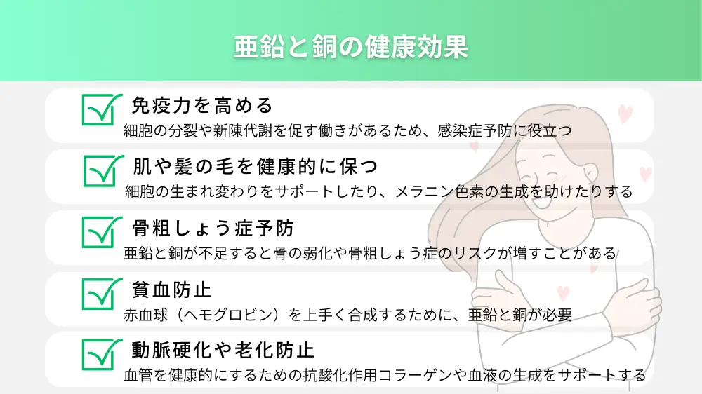 亜鉛と銅の健康効果