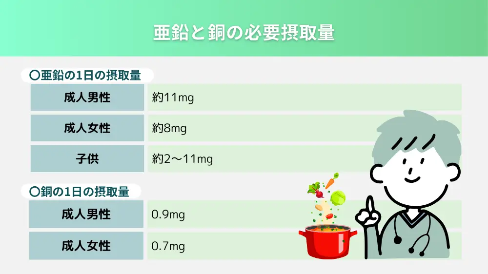 亜鉛と銅の必要摂取量