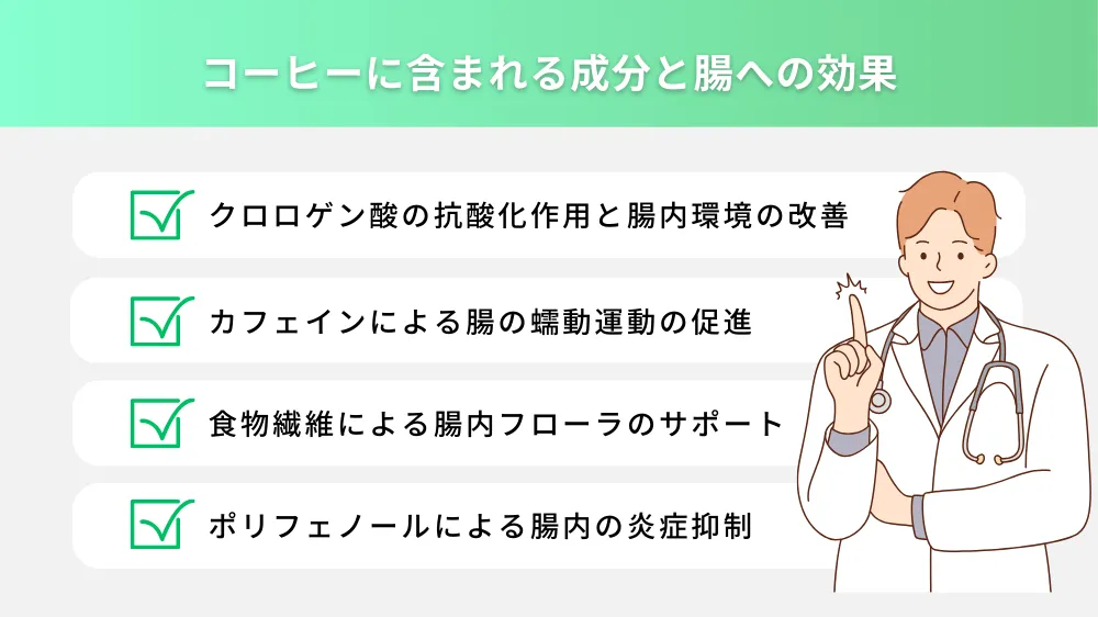 コーヒーに含まれる成分と腸への効果