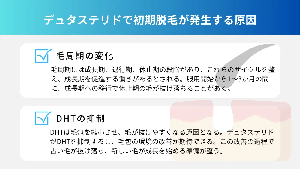  デュタステリドで初期脱毛が発生する原因