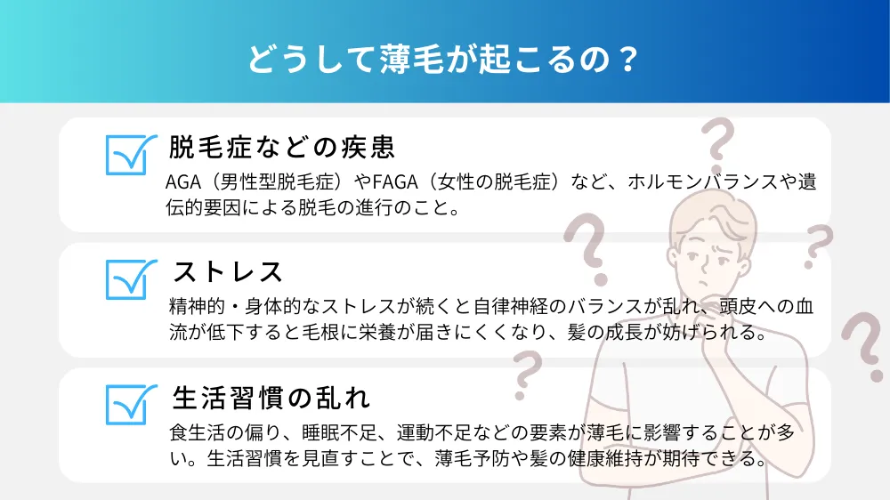 薄毛の原因｜どうして薄毛が起こるの？