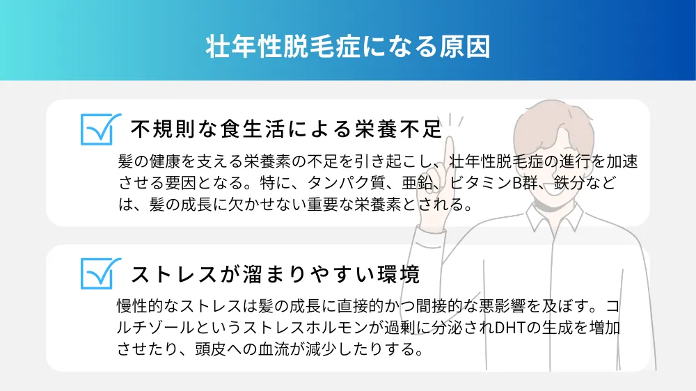 壮年性脱毛症になる原因