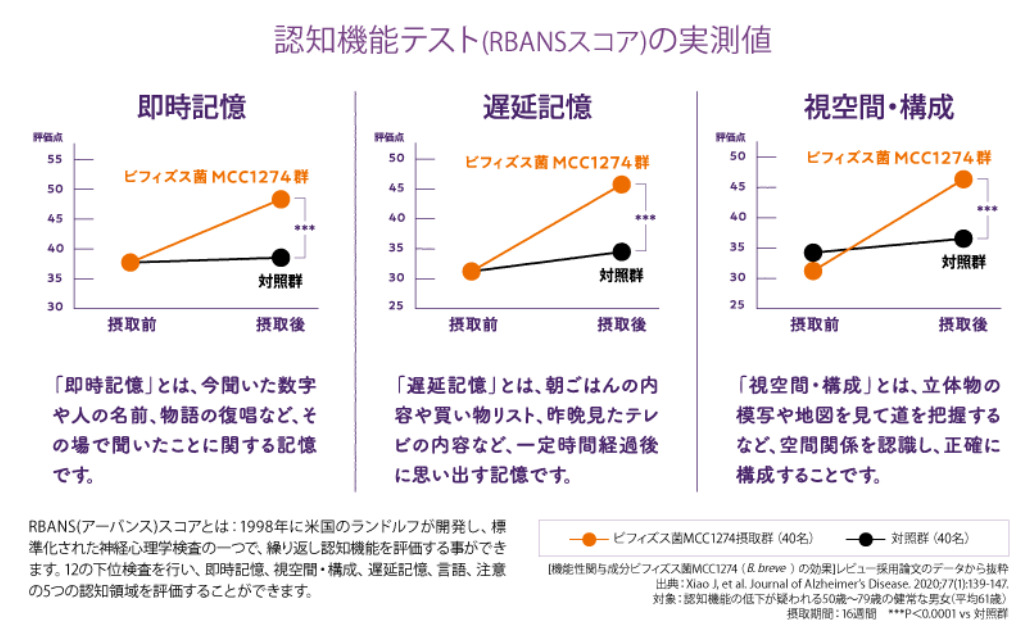 【機能性表示食品】ビフィズス菌